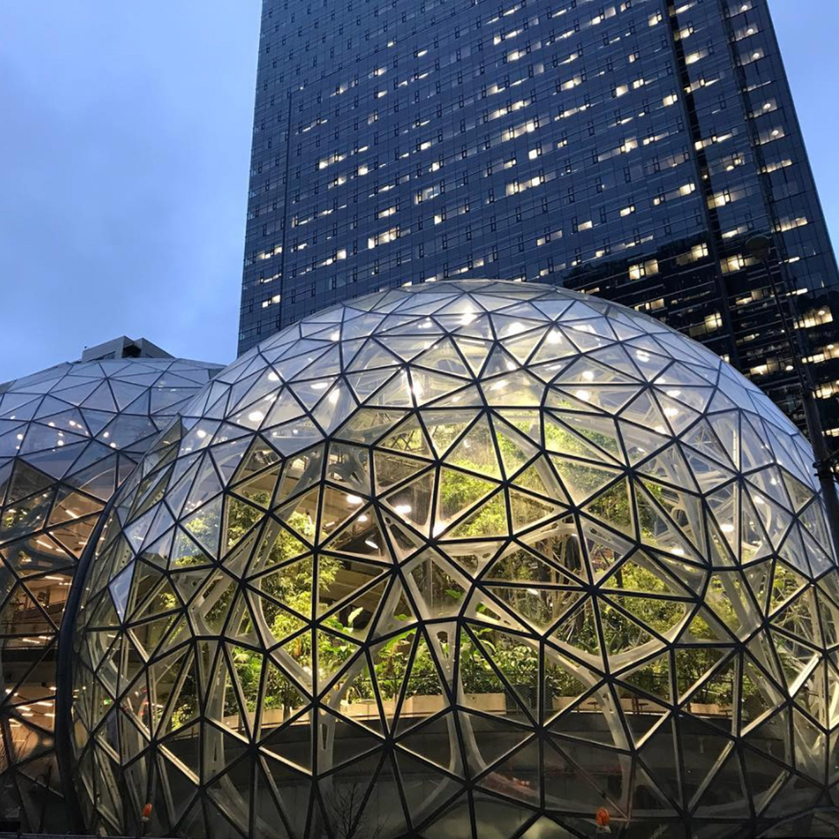 Amazon Spheres Seattle Washington NBBJ Fluoronar Tnemec Lumiflon FEVE Resin